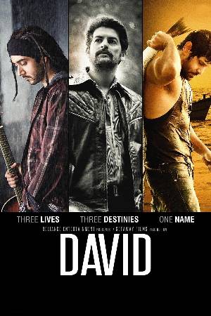 Download David 2013 Hindi Movie WEB-DL 1080p 720p 480p HEVC